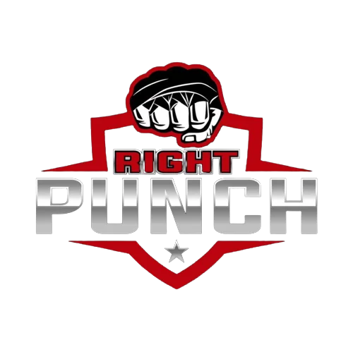 Right Punch Store