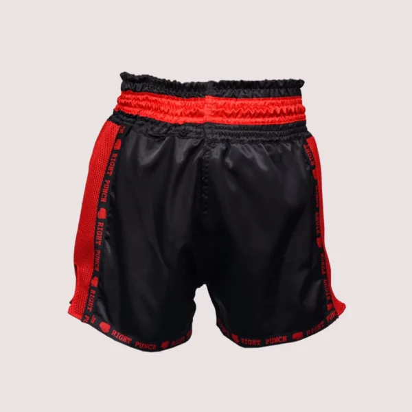 RightPunch Boxing MMA Training Shorts