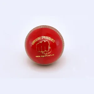 RightPunch Leather Cricket Ball